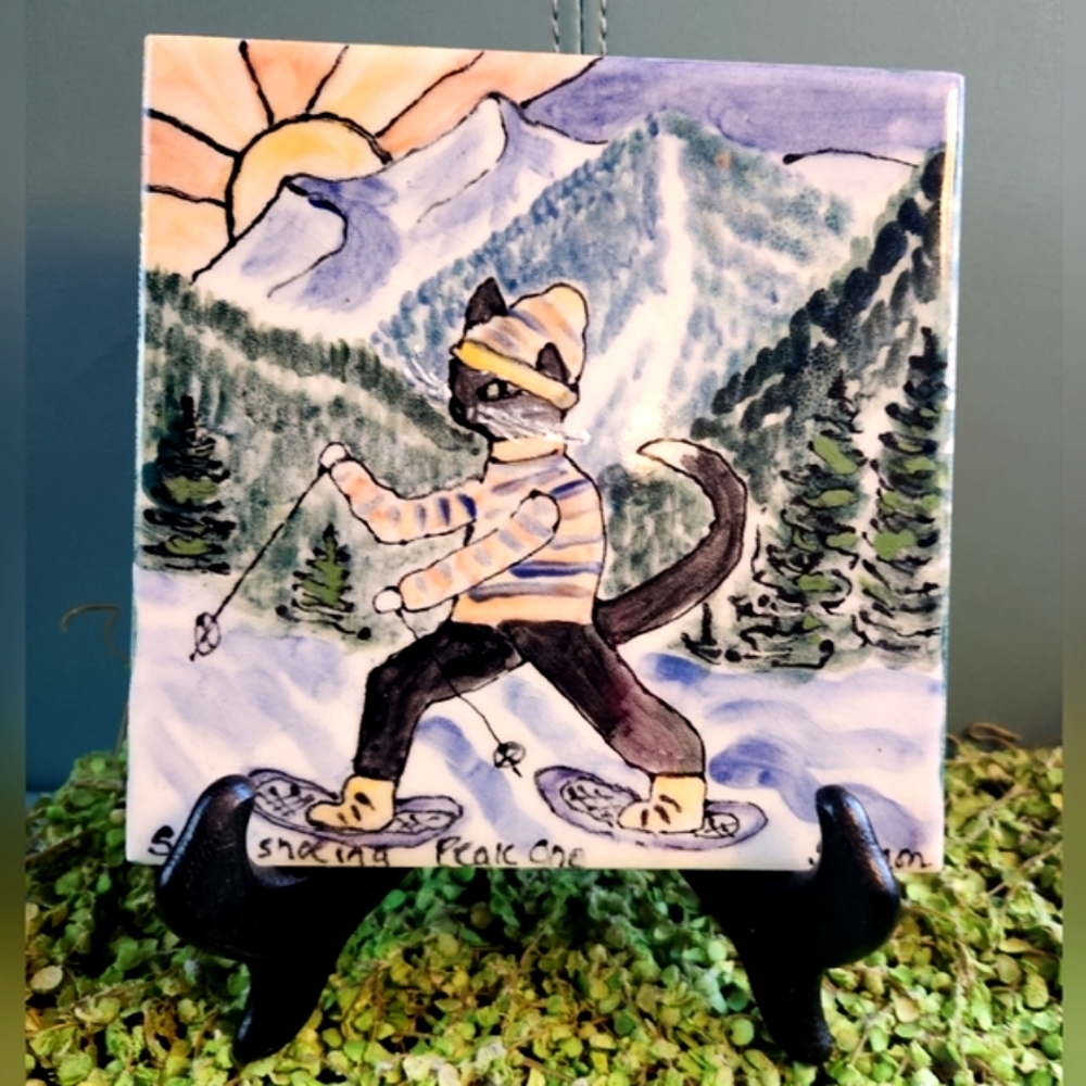COOL CATS Colorado Series Painted Artsy SALMON Wall Display Snow Trivet Tile 6"